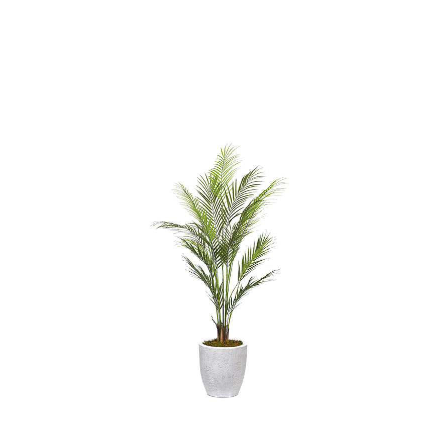 Artificial Areca Palm Tree (Pack of 5)