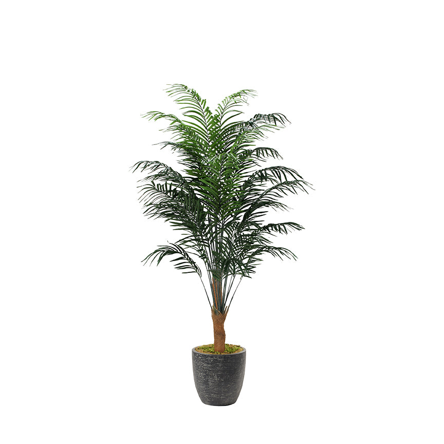 Artificial Areca Palm 8ft (Pack of 2)