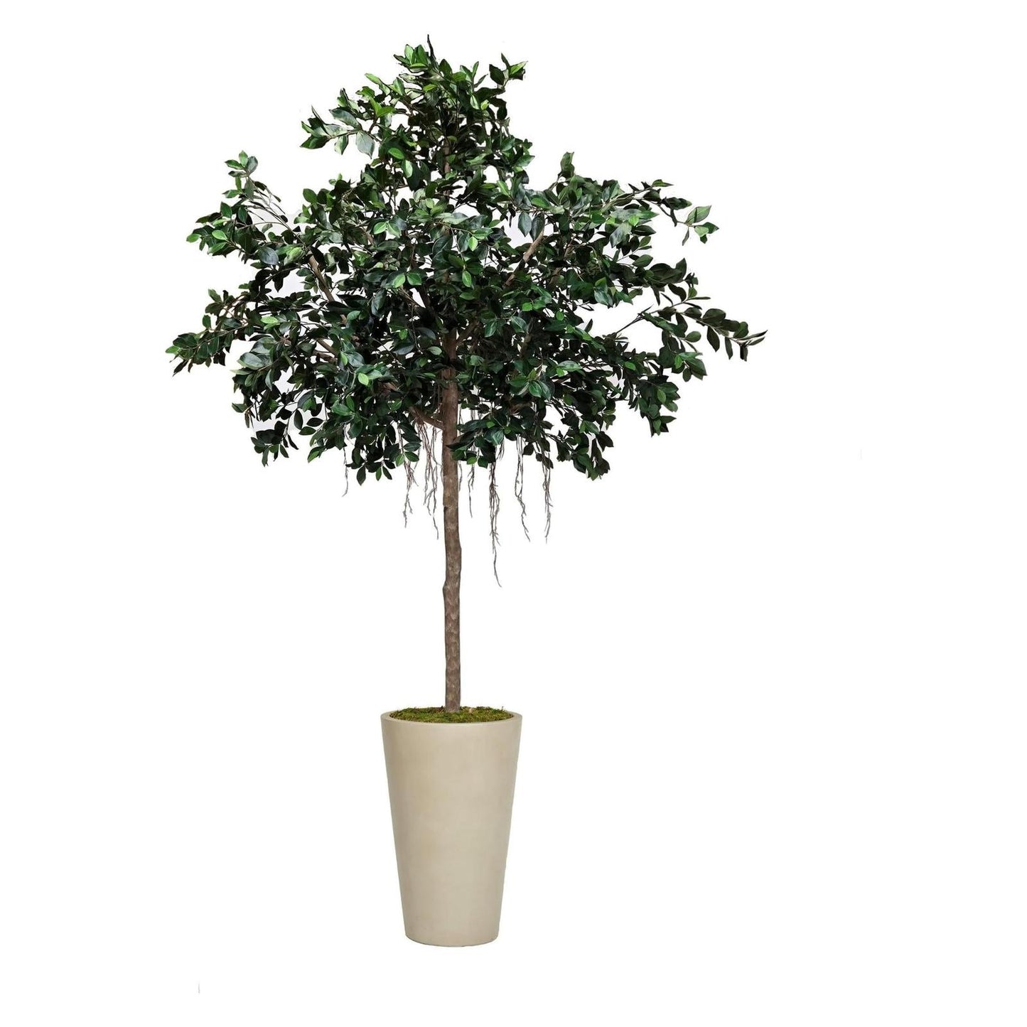 Artificial Compact Ficus Tree