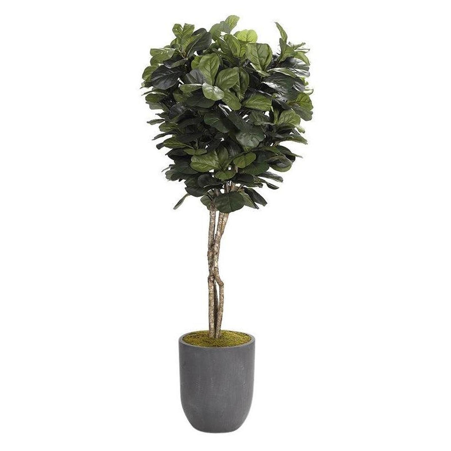 Artificial 7ft Fiddle Leaf Fig Tree 7ft (Pack of 2)
