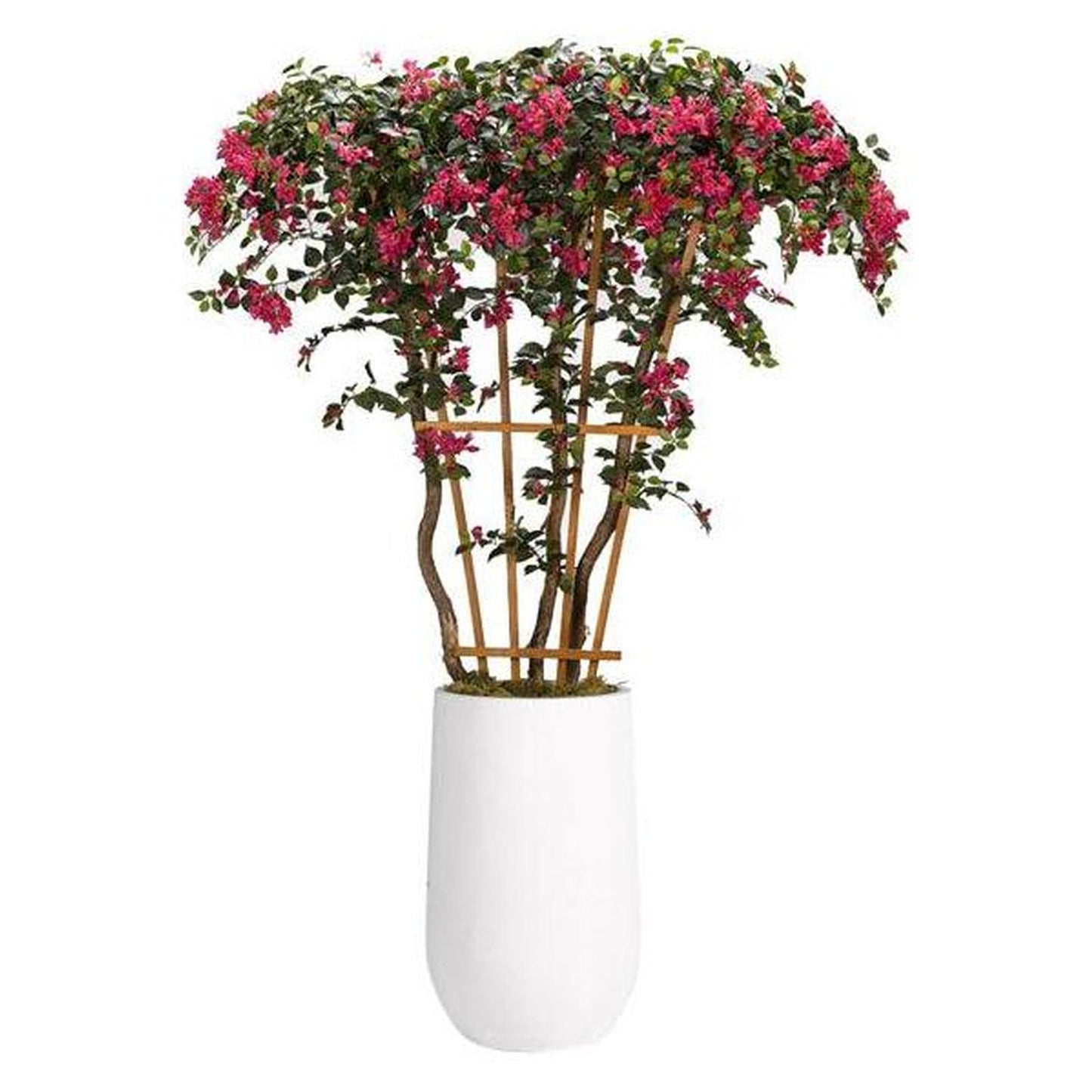 Artificial 8ft Bougainvillea Tree with Trellis 8ft (Pack of 2)