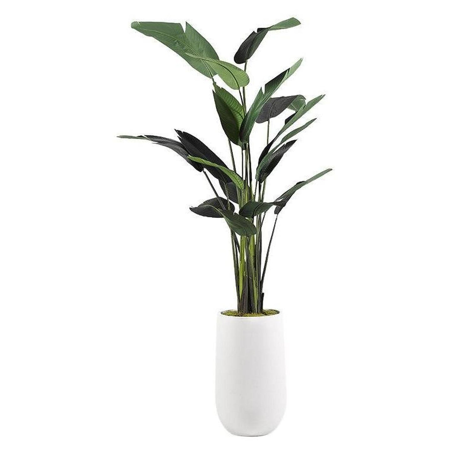 Artificial 9ft Traveler Palm Tree 9ft (Pack of 2)