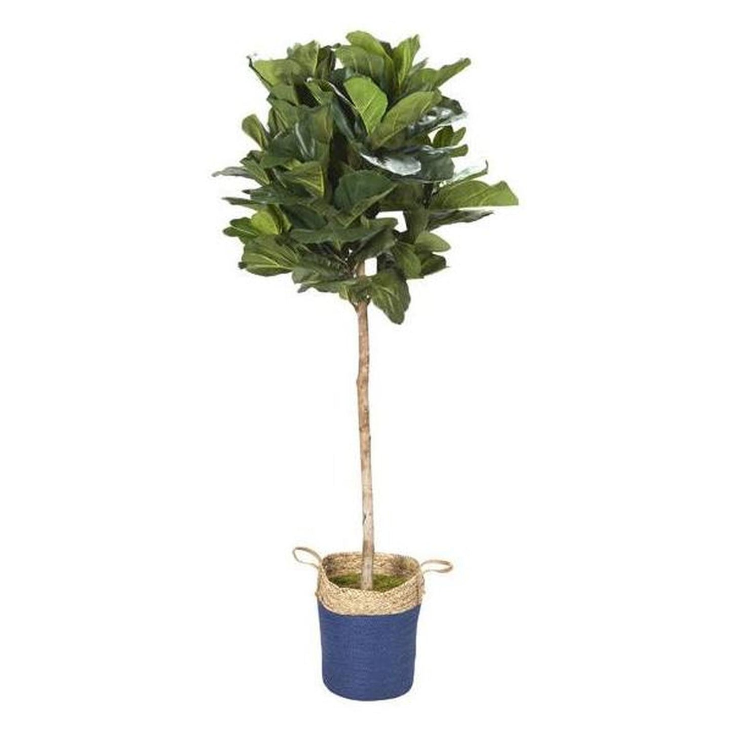 Artificial 7ft Fiddle Leaf Fig Tree 7ft (Pack of 2)