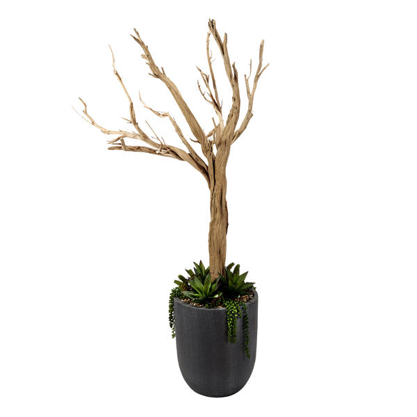 Artificial 6.5ft Ghostwood with Agave and Sedum 6.5ft