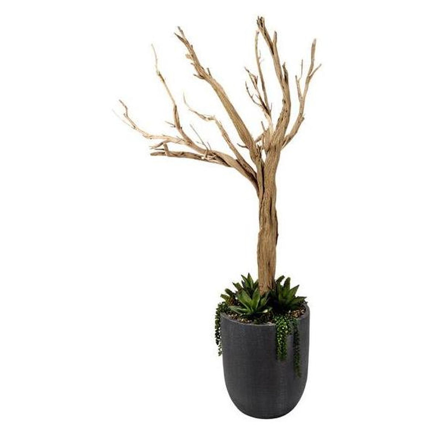Artificial 6.5ft Ghostwood with Agave and Sedum 6.5ft
