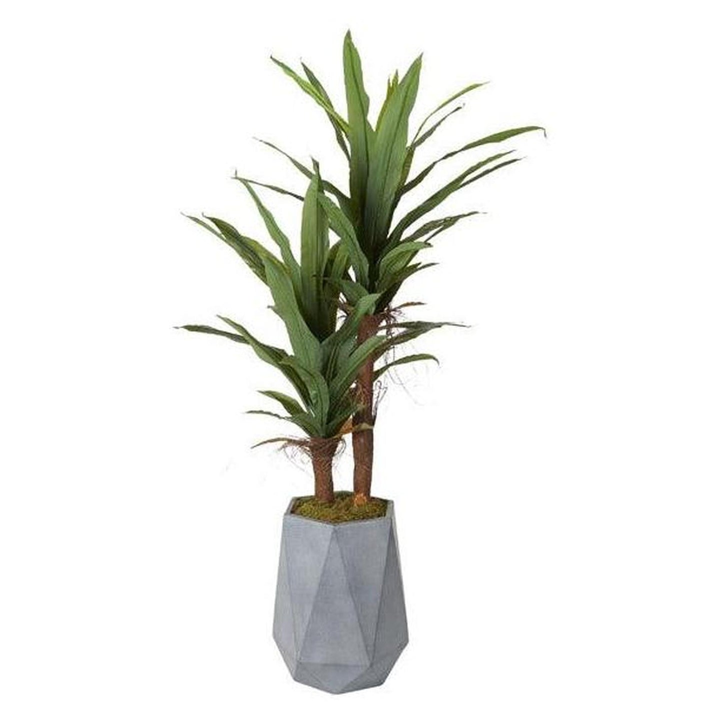 Artificial 7ft Corn Plant 7ft (Pack of 2)