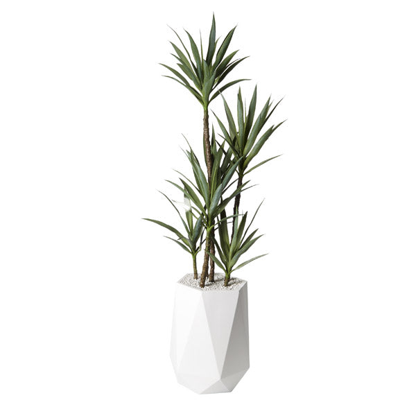 Artificial 6.5ft Yucca Tree 6.5ft (Pack of 2)