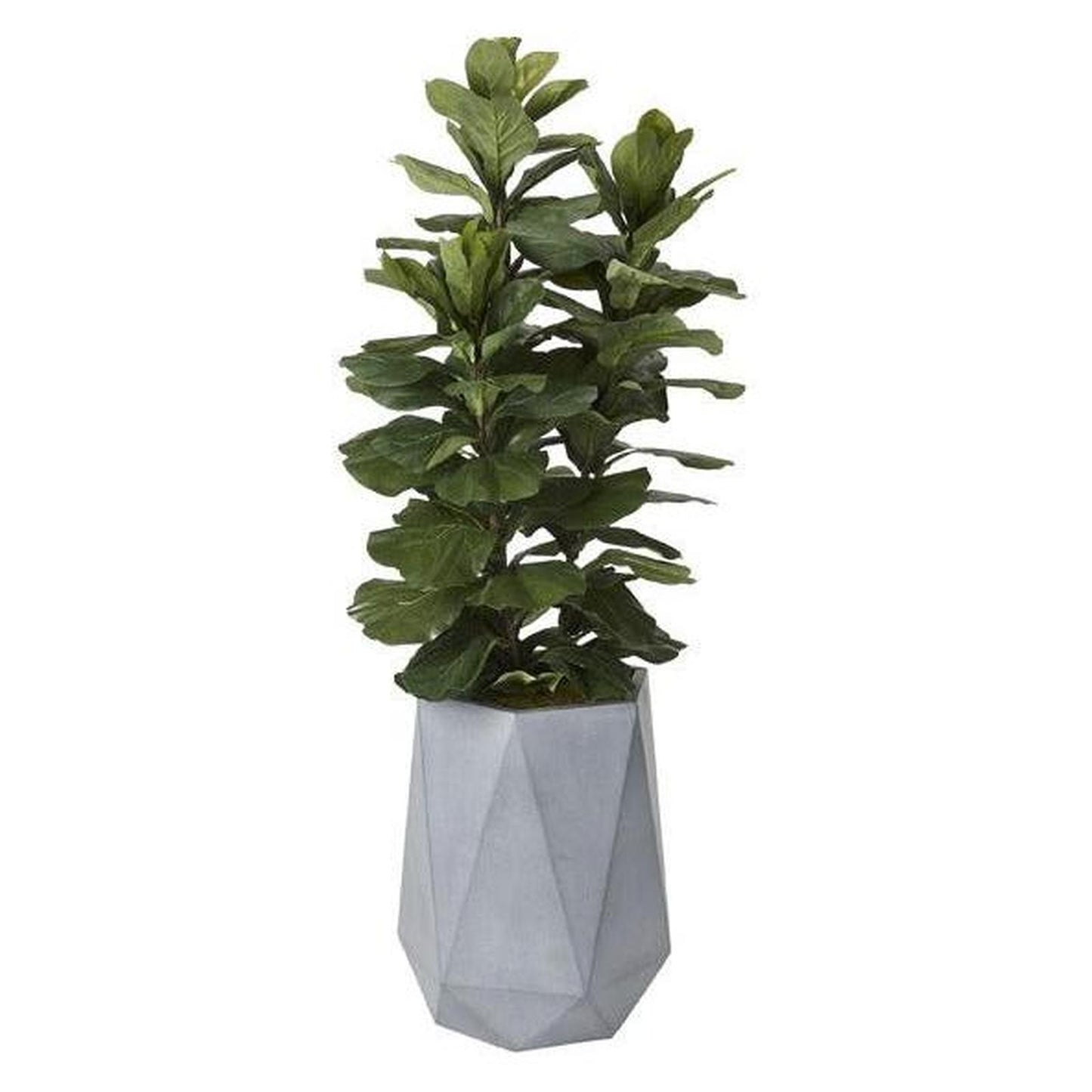 Artificial 6ft Fiddle Leaf Fig Tree 6ft (Pack of 2)