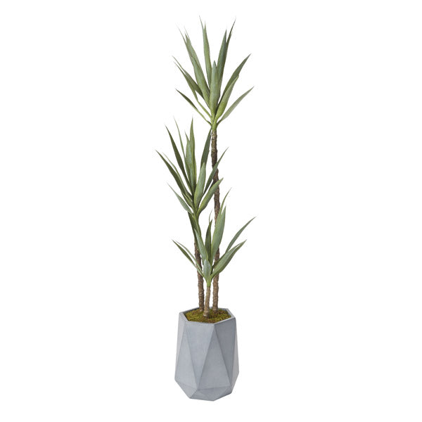 Artificial 6ft Yucca Plant 6ft (Pack of 2)