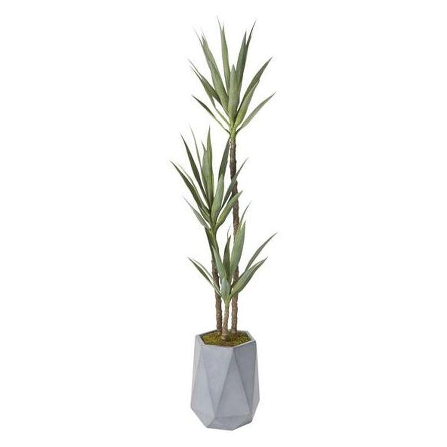 Artificial 6ft Yucca Plant 6ft (Pack of 2)