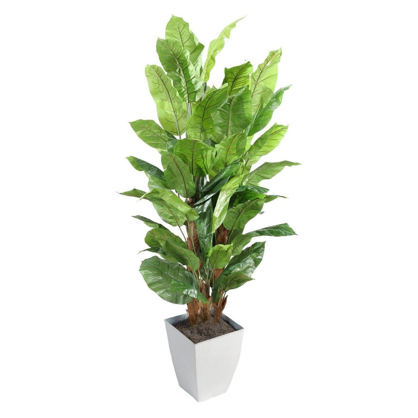 Artificial 8ft Spath Plant 8ft (Pack of 2)