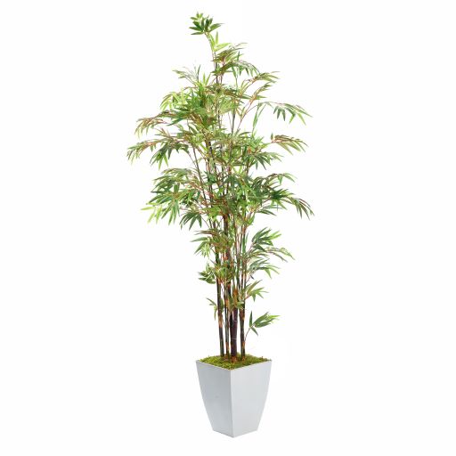 Artificial 8ft Black Bamboo Tree 8ft (Pack of 2)