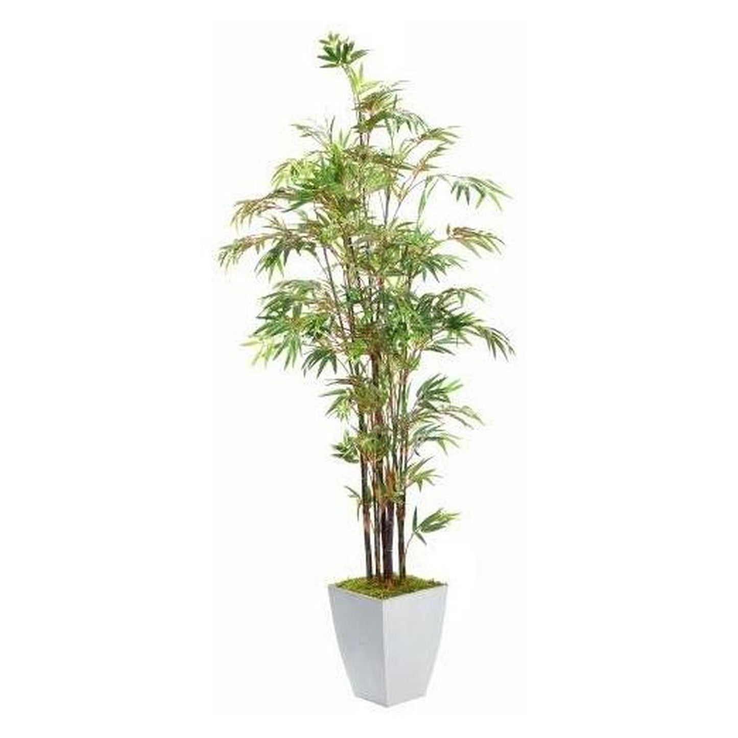 Artificial 8ft Black Bamboo Tree 8ft (Pack of 2)