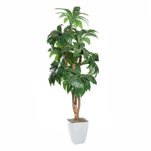 Artificial 8ft Birdnest Palm 8ft (Pack of 2)