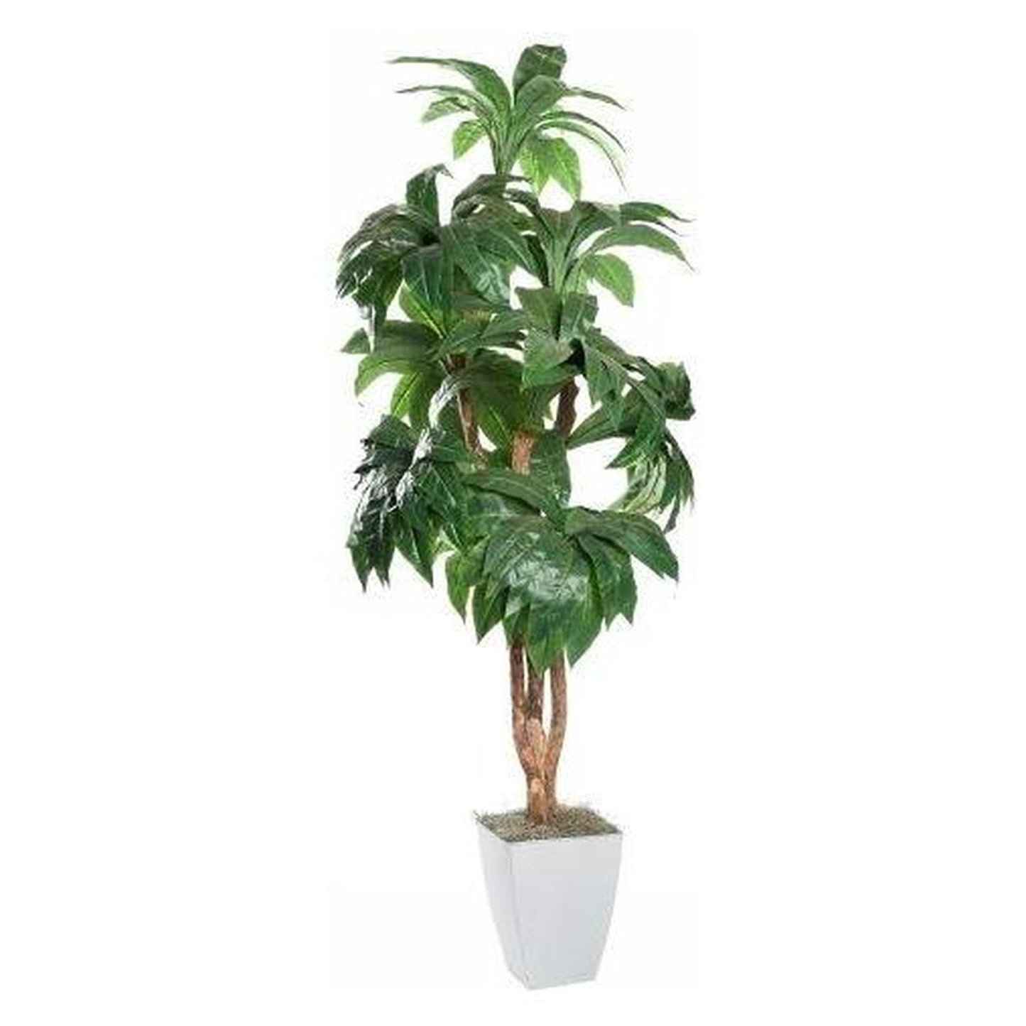 Artificial 8ft Birdnest Palm 8ft (Pack of 2)