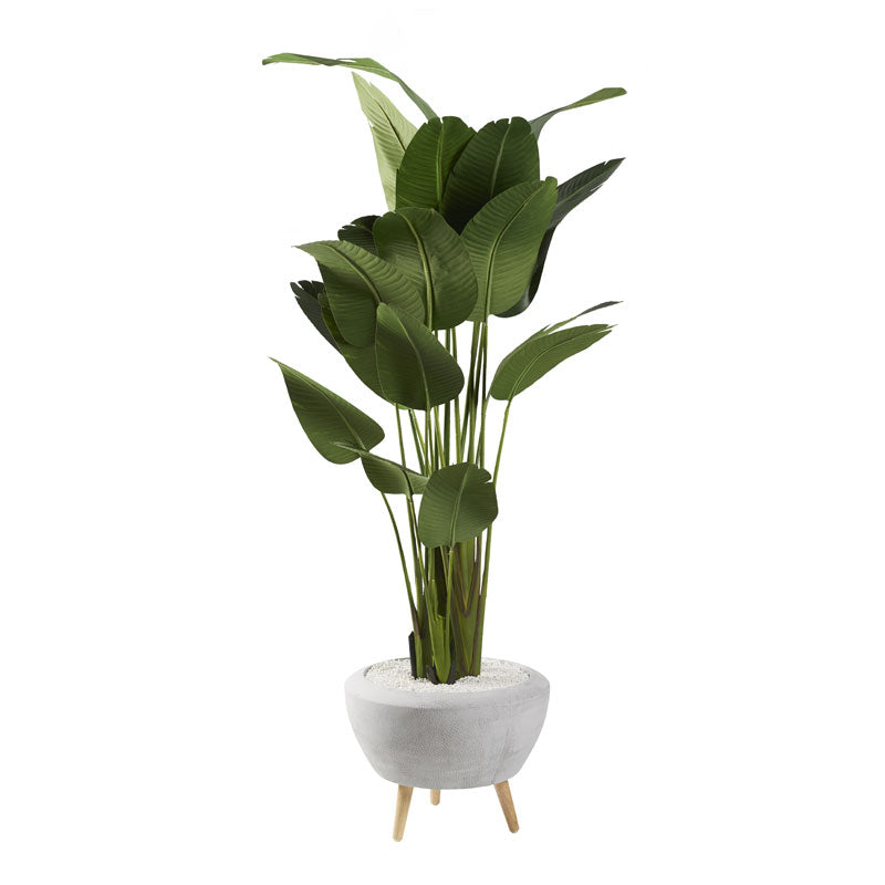 Artificial 8ft Traveler Palm 8ft (Pack of 2)