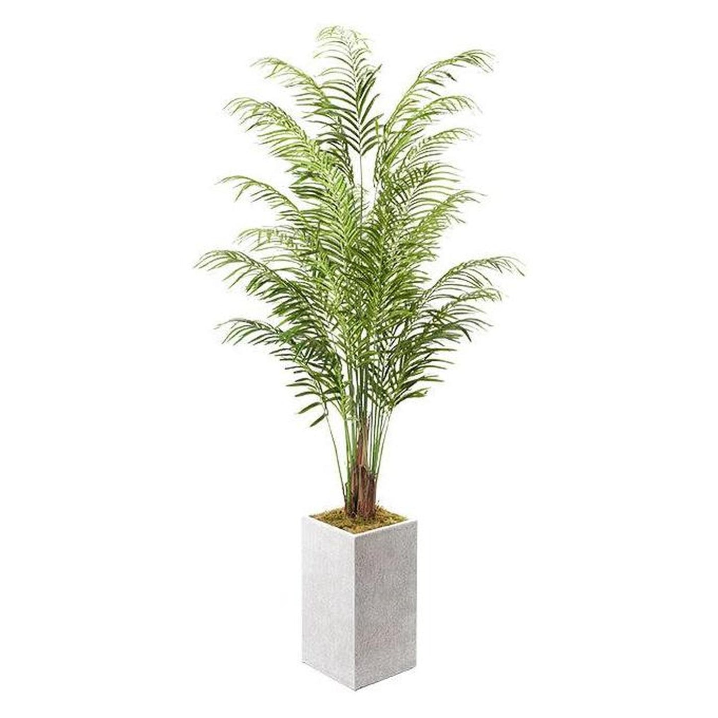 Artificial Areca Palm 8ft (Pack of 2)