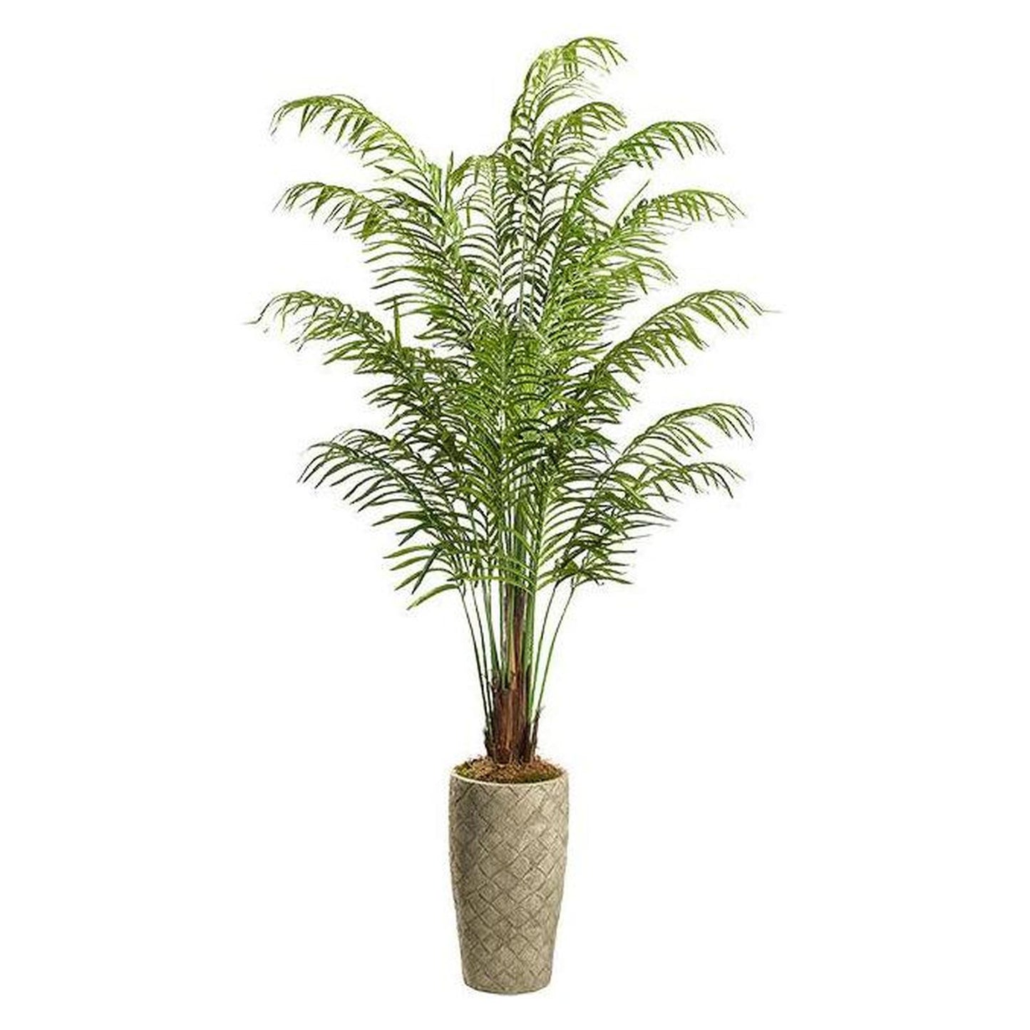 Artificial Areca Palm 8ft (Pack of 2)