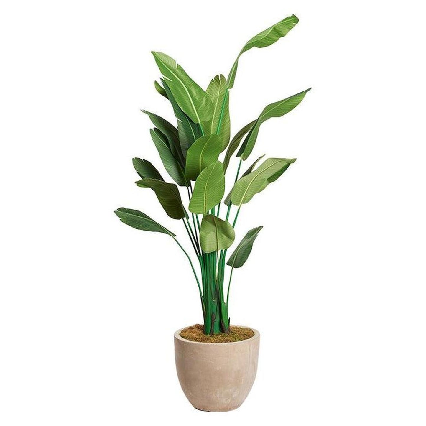 Artificial Traveler Palm 9ft (Pack of 2)