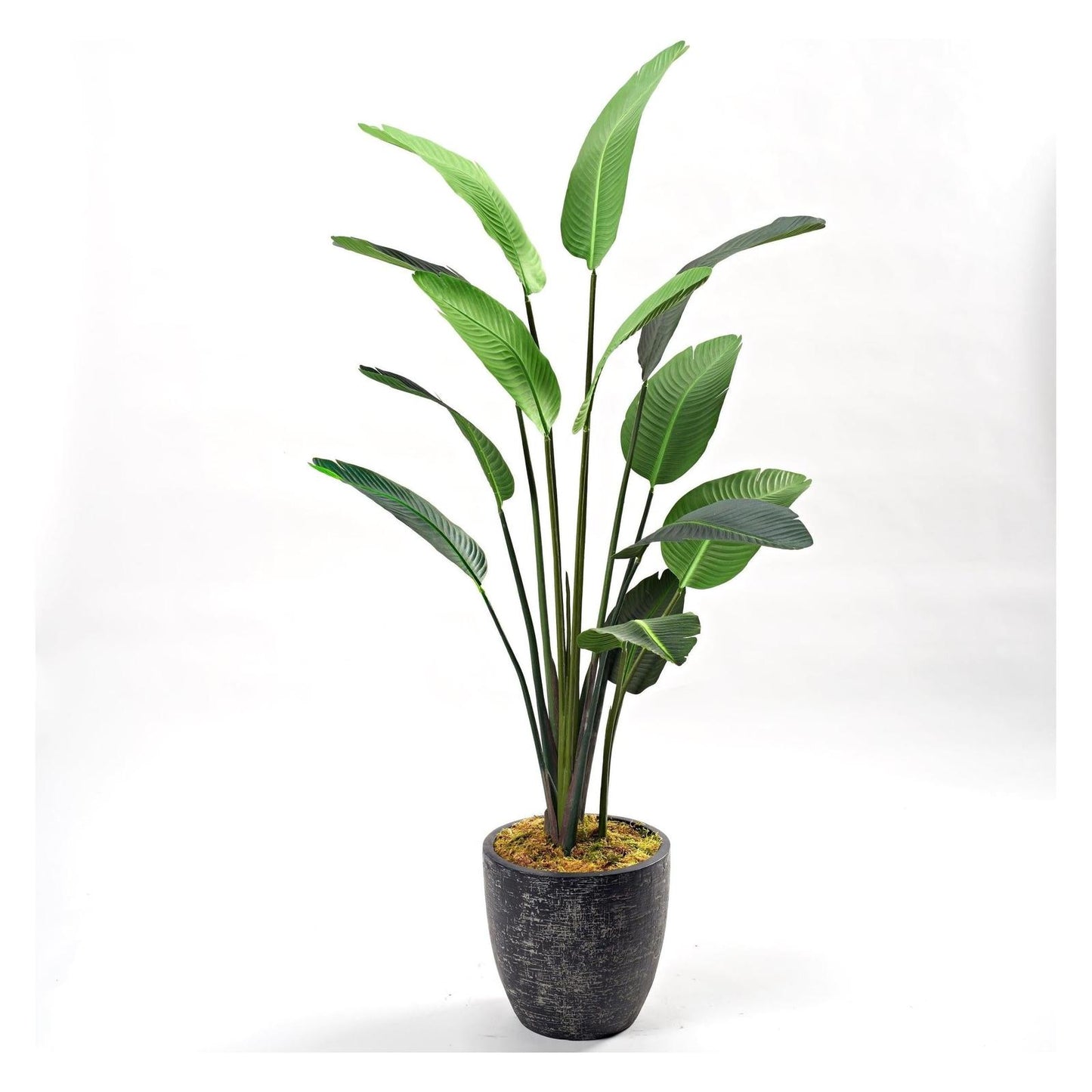 Artificial Traveler Palm 8ft (Pack of 2)