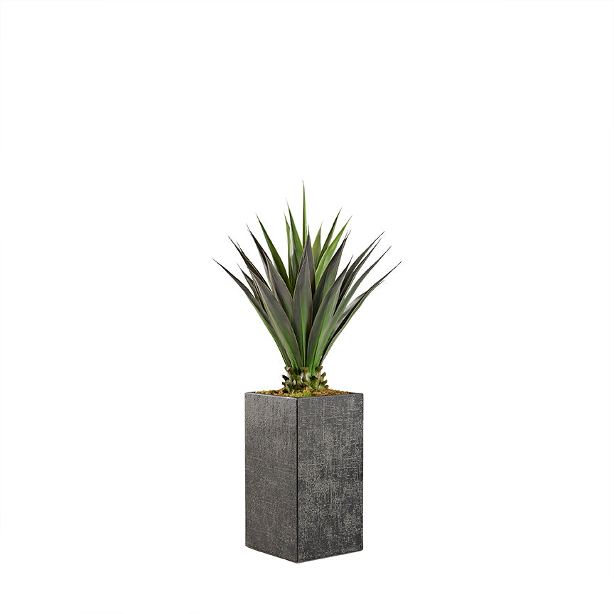 Artificial Agave Plant 5.5ft (Pack of 2)