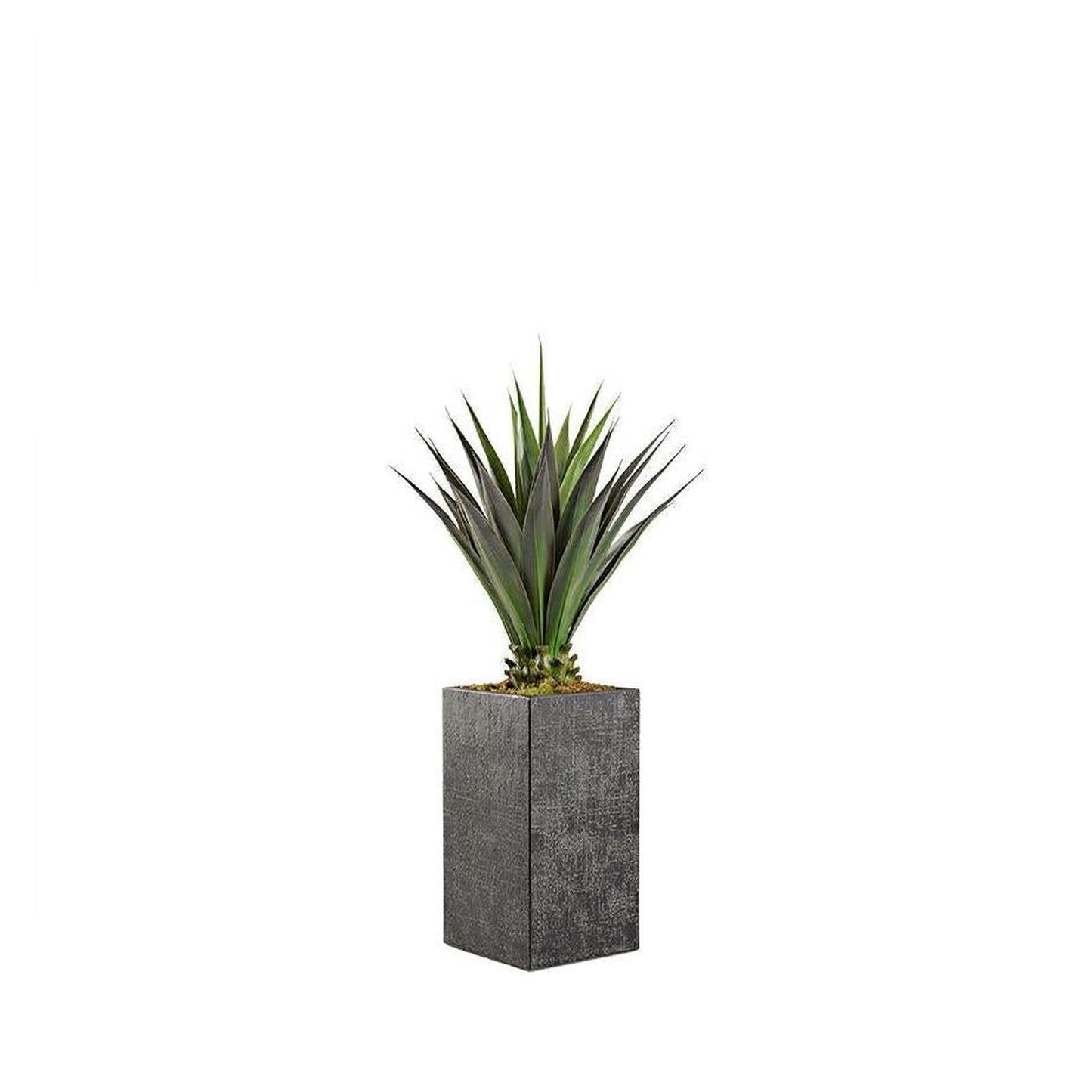 Artificial Agave Plant 5.5ft (Pack of 2)