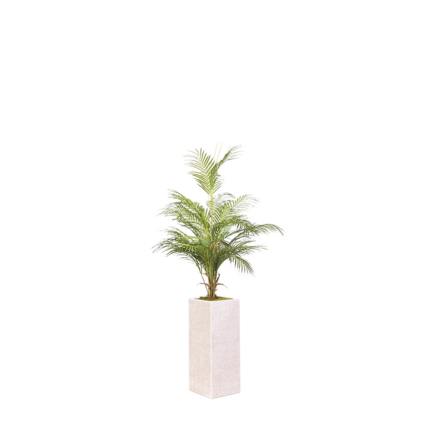 Artificial Areca Palm (Pack of 3)