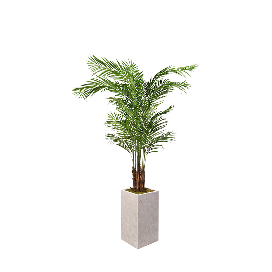 Artificial Areca Palm 8ft (Pack of 2)