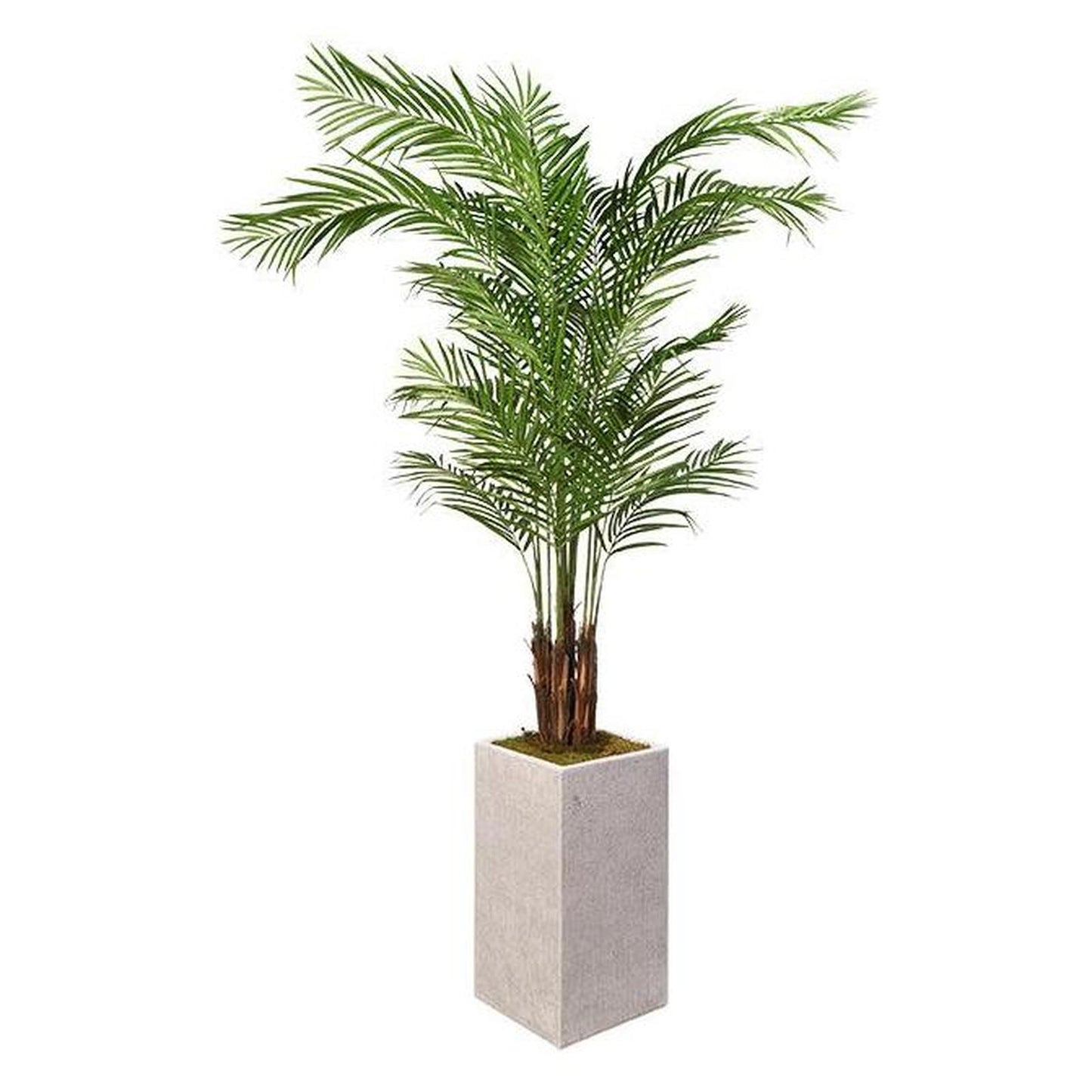 Artificial Areca Palm 8ft (Pack of 2)