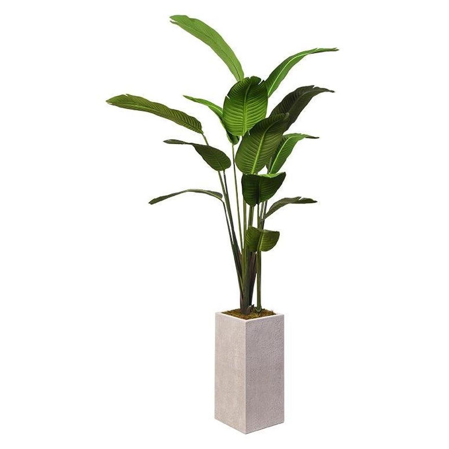 Artificial Traveler Palm 7ft (Pack of 2)