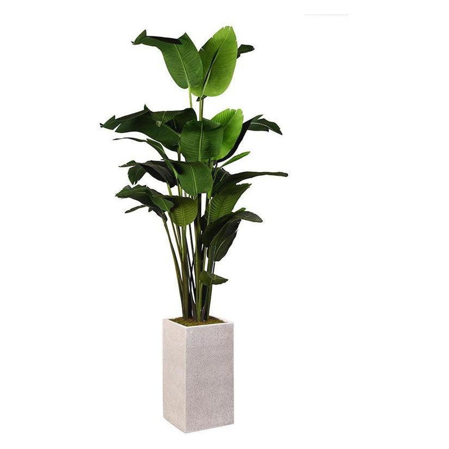 Artificial Traveler Palm 8ft