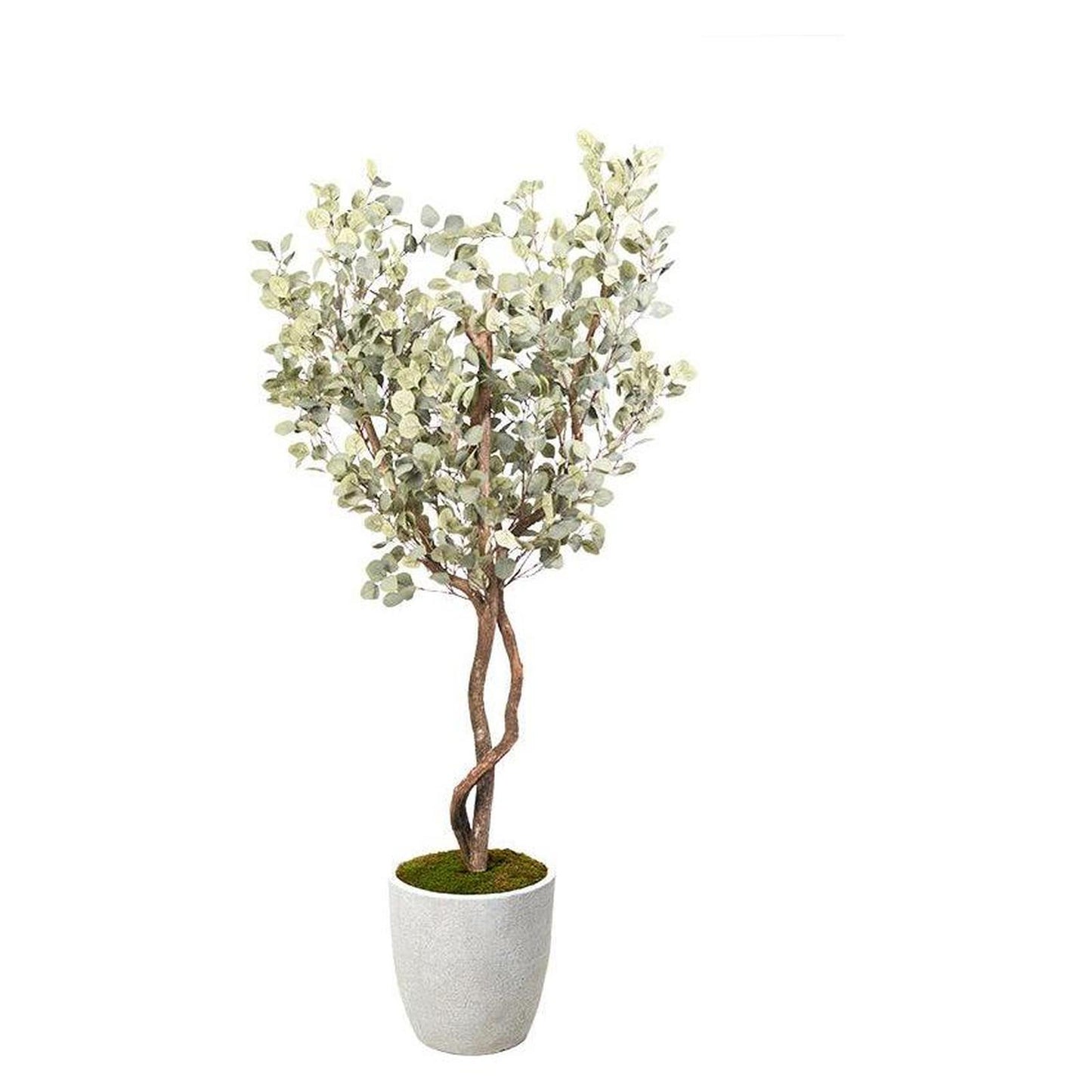Artificial Eucalyptus Tree 7ft (Pack of 2)