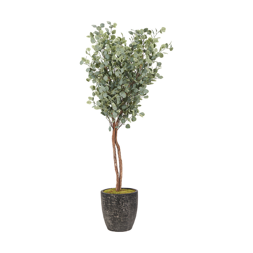 Artificial Eucalyptus Tree 7ft (Pack of 2)