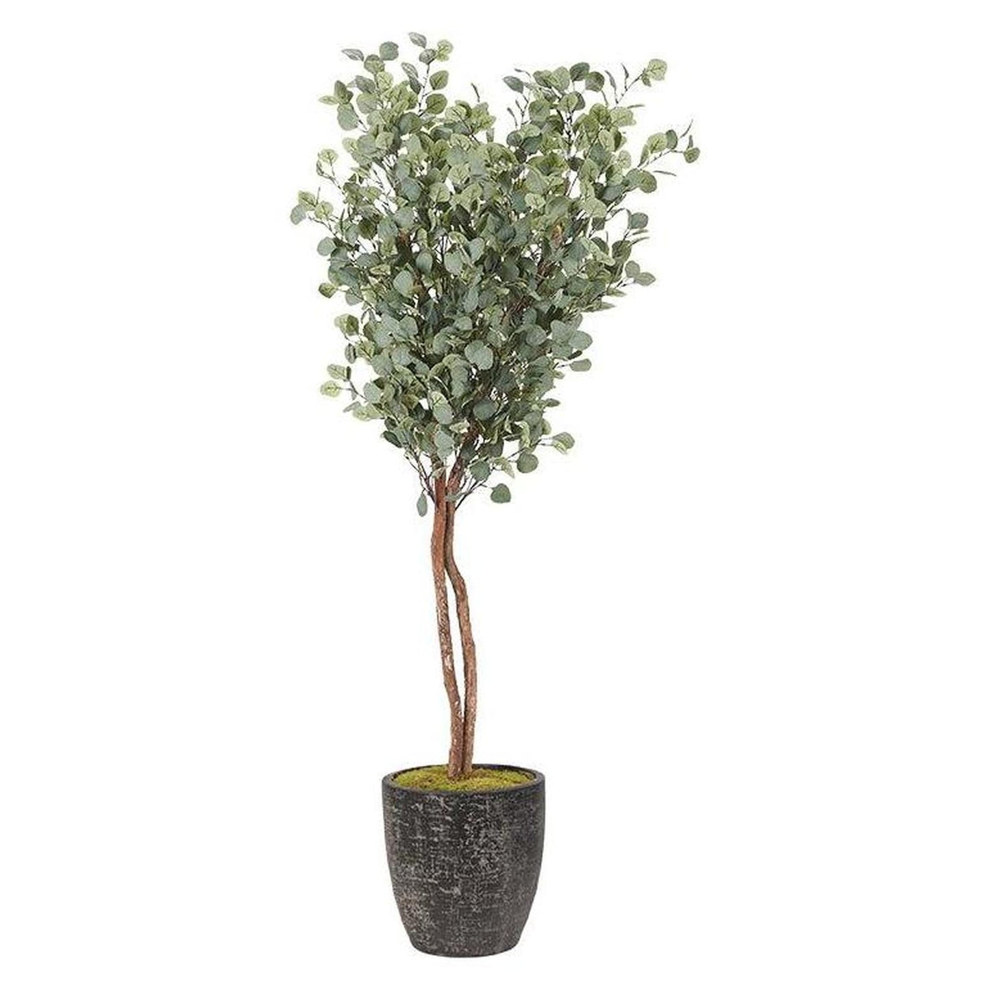 Artificial Eucalyptus Tree 7ft (Pack of 2)