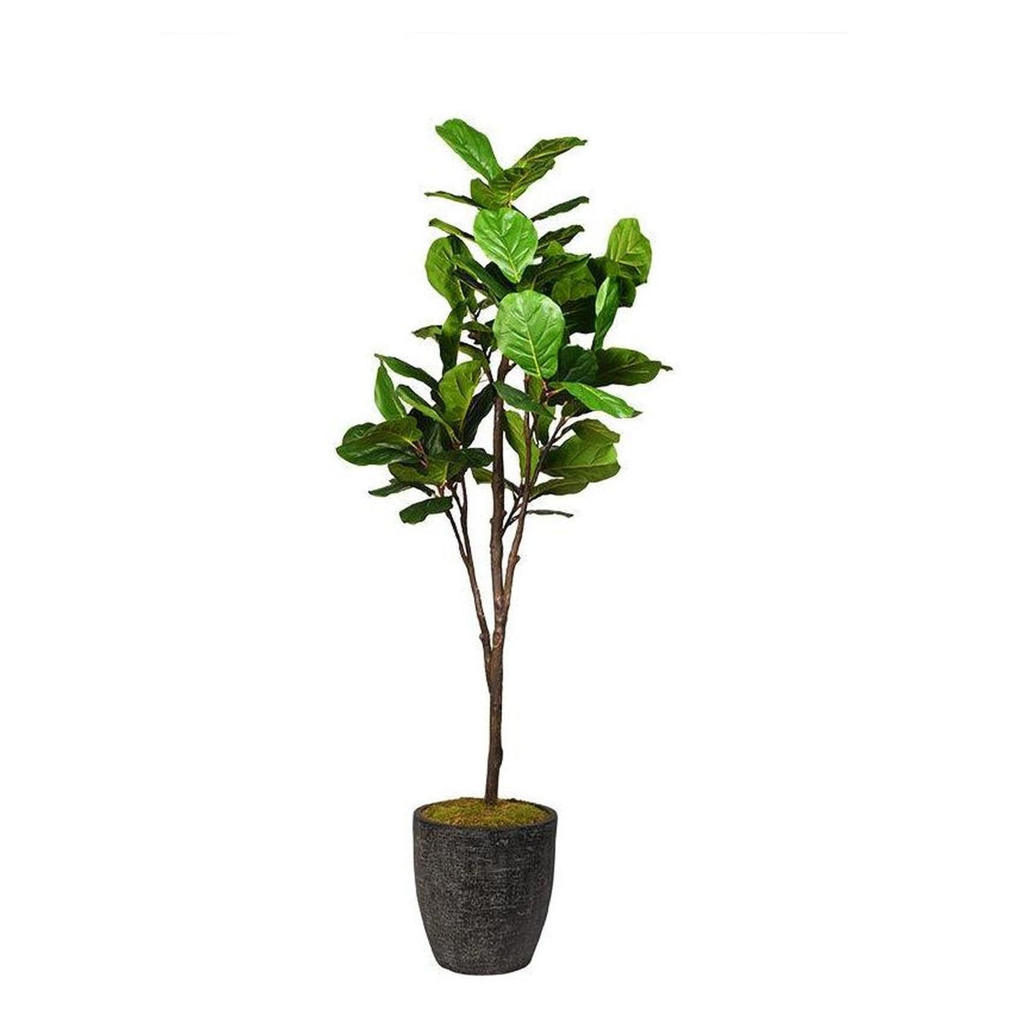 Artificial Fiddle Leaf Fig Tree 7ft (Pack of 2)