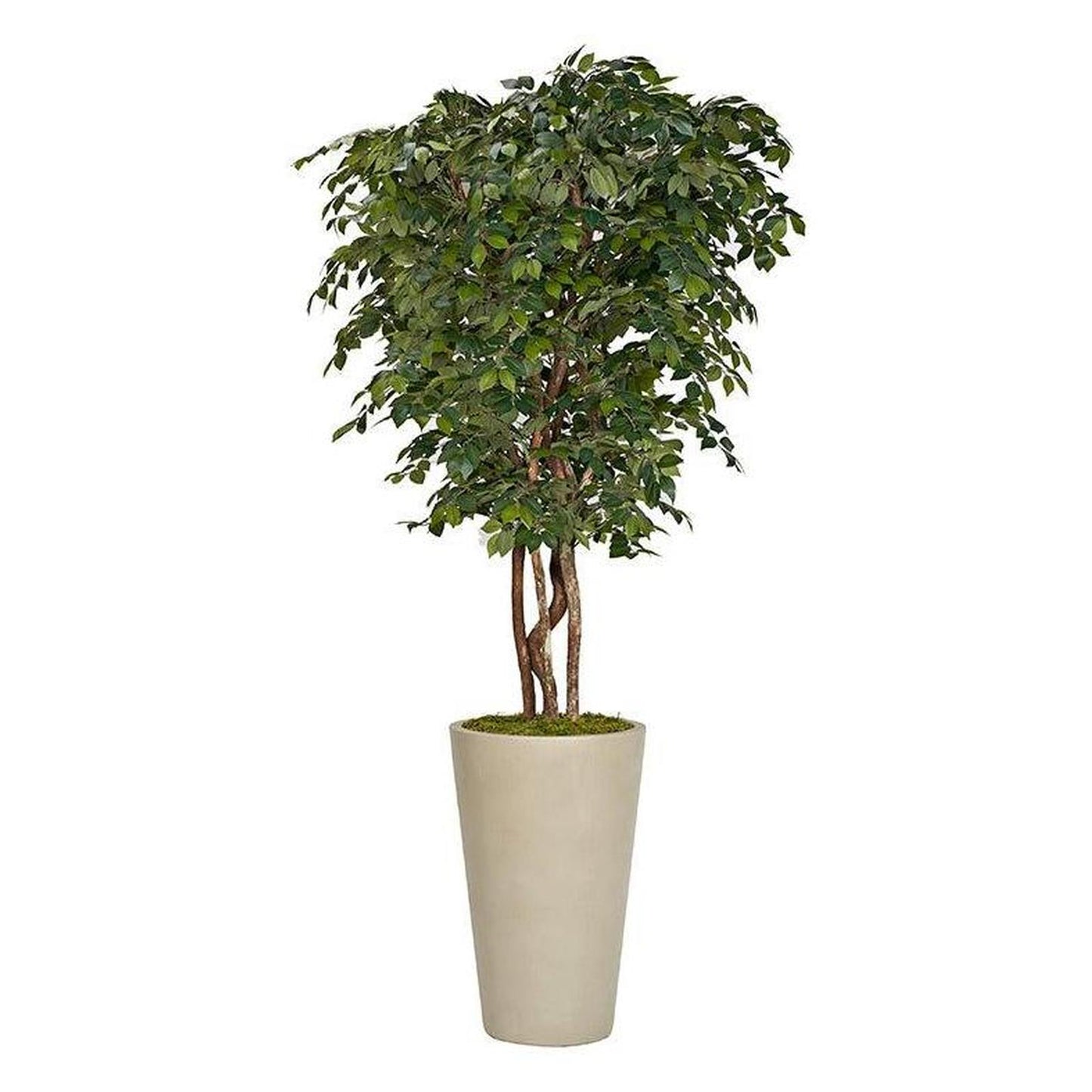Artificial Sakaki Tree 8ft