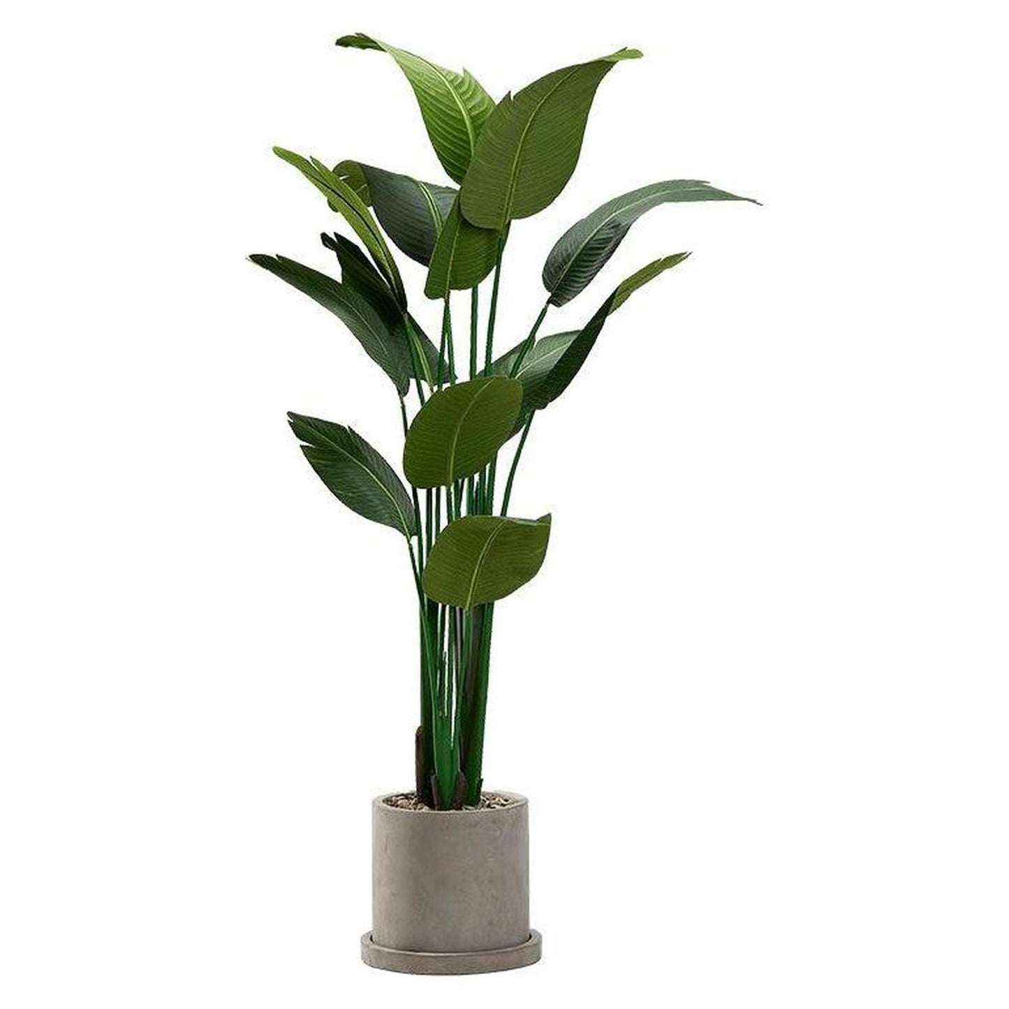 Artificial Travelers Palm 6.5ft (Pack of 2)