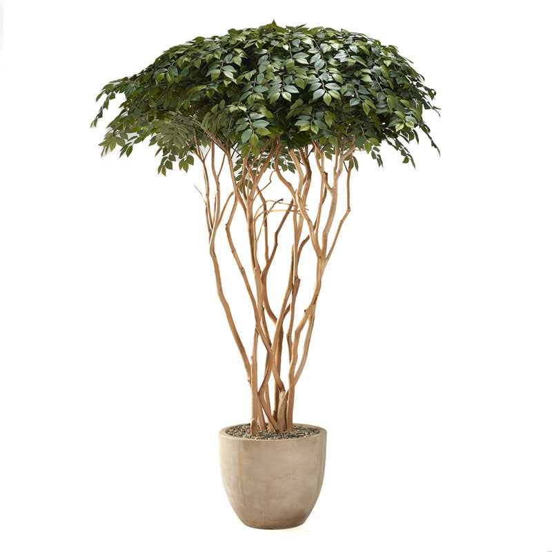 Artificial Sakaki Tree 8ft