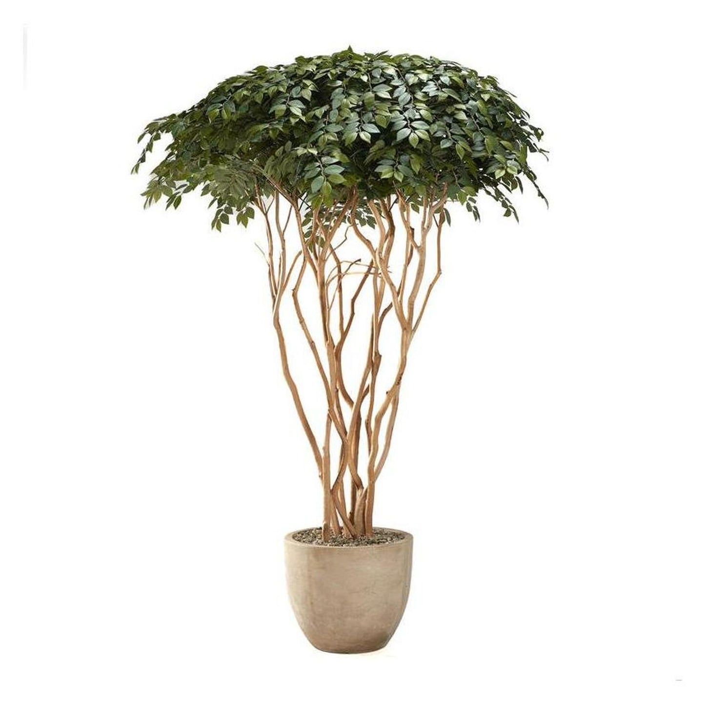 Artificial Sakaki Tree 8ft