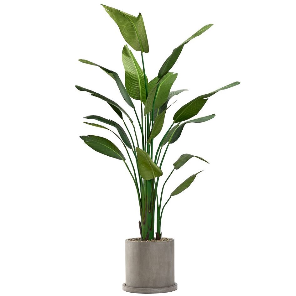 Artificial Traveler Palm 8ft