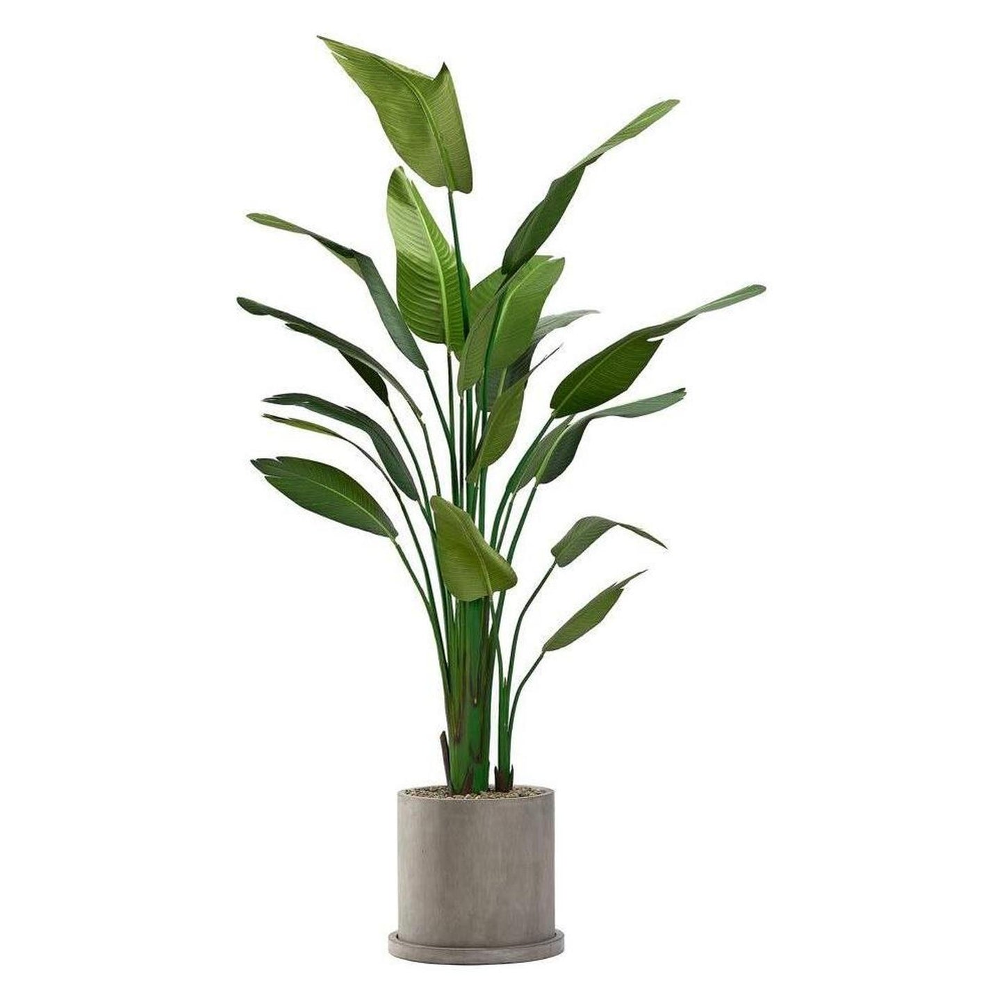 Artificial Traveler Palm 8ft