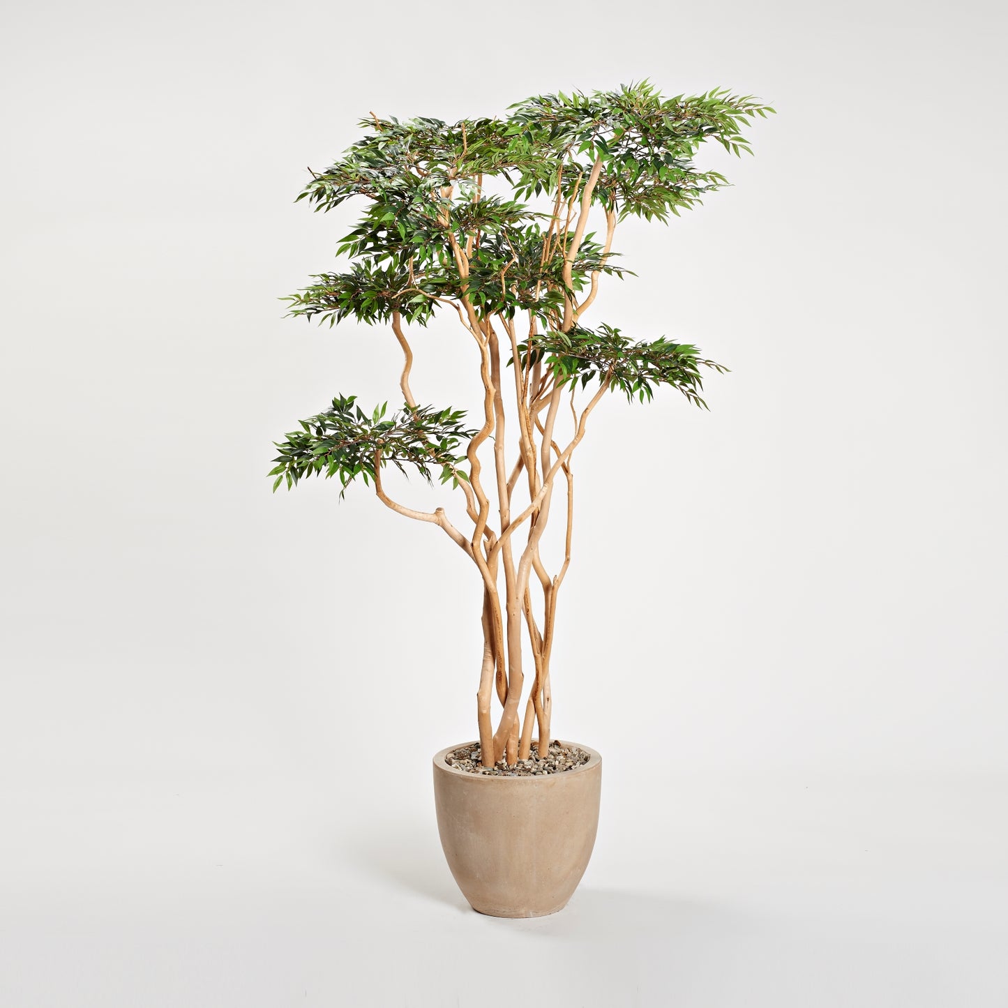 Artificial Sandblasted Ruscus Tree (Pack of 2)