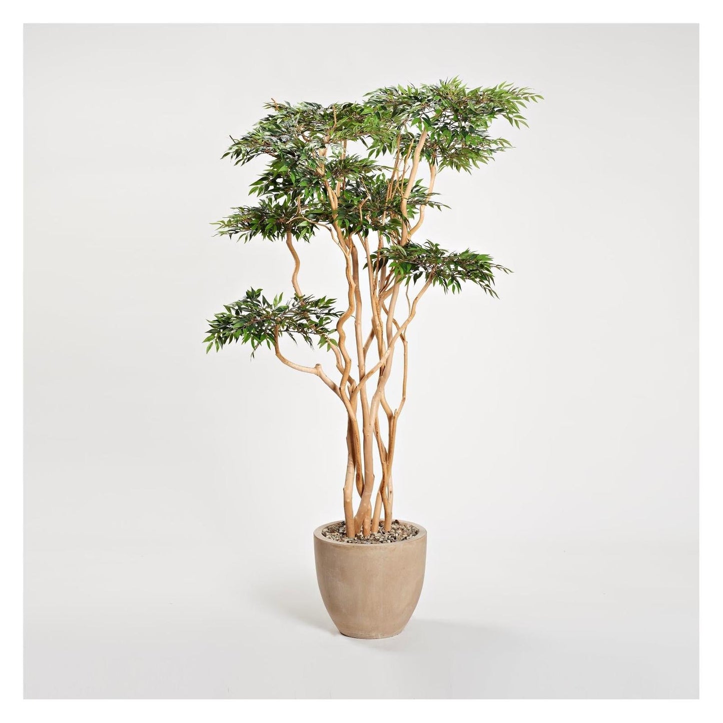 Artificial Sandblasted Ruscus Tree (Pack of 2)