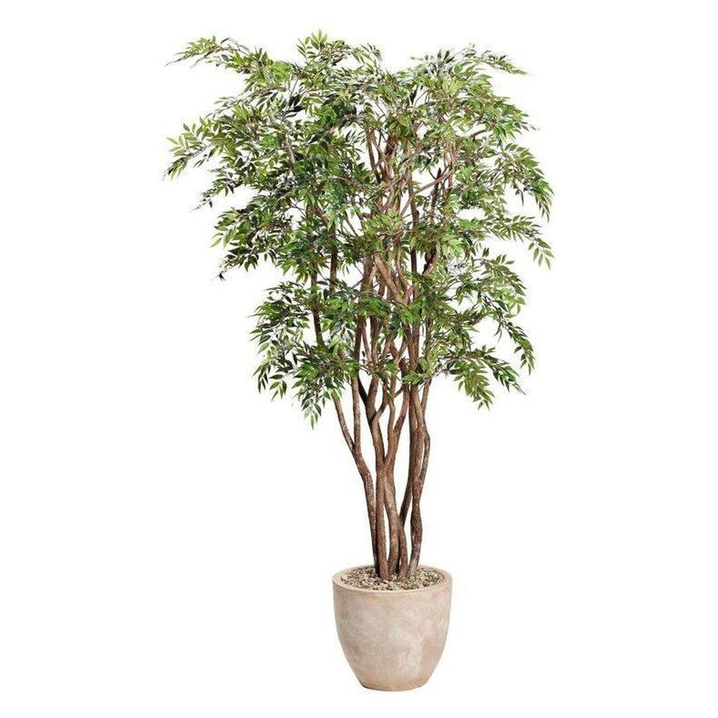 Artificial Ruscus Tree 7.5ft (Pack of 2)