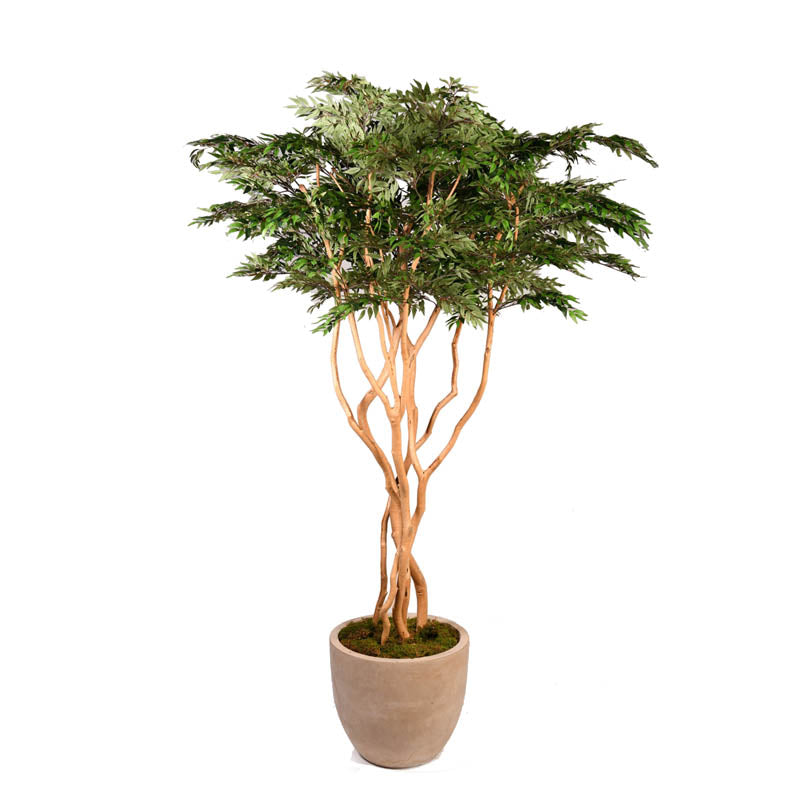 Artificial Ruscus Tree 8ft