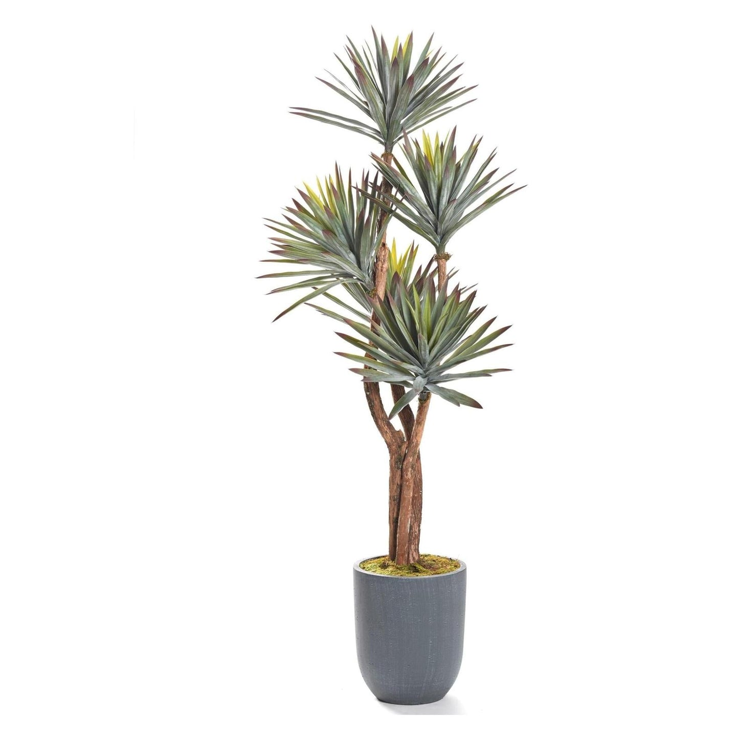 Artificial Yucca Love (Pack of 2)
