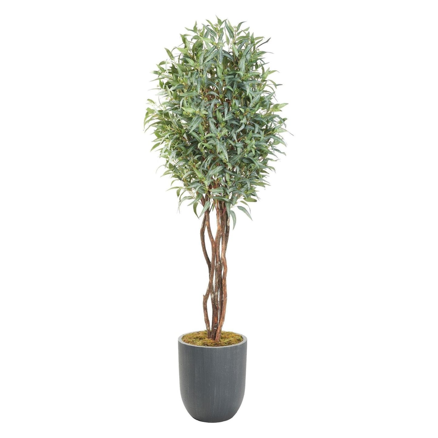 Artificial Eucalyptus with Fruit 8ft (Pack of 2)