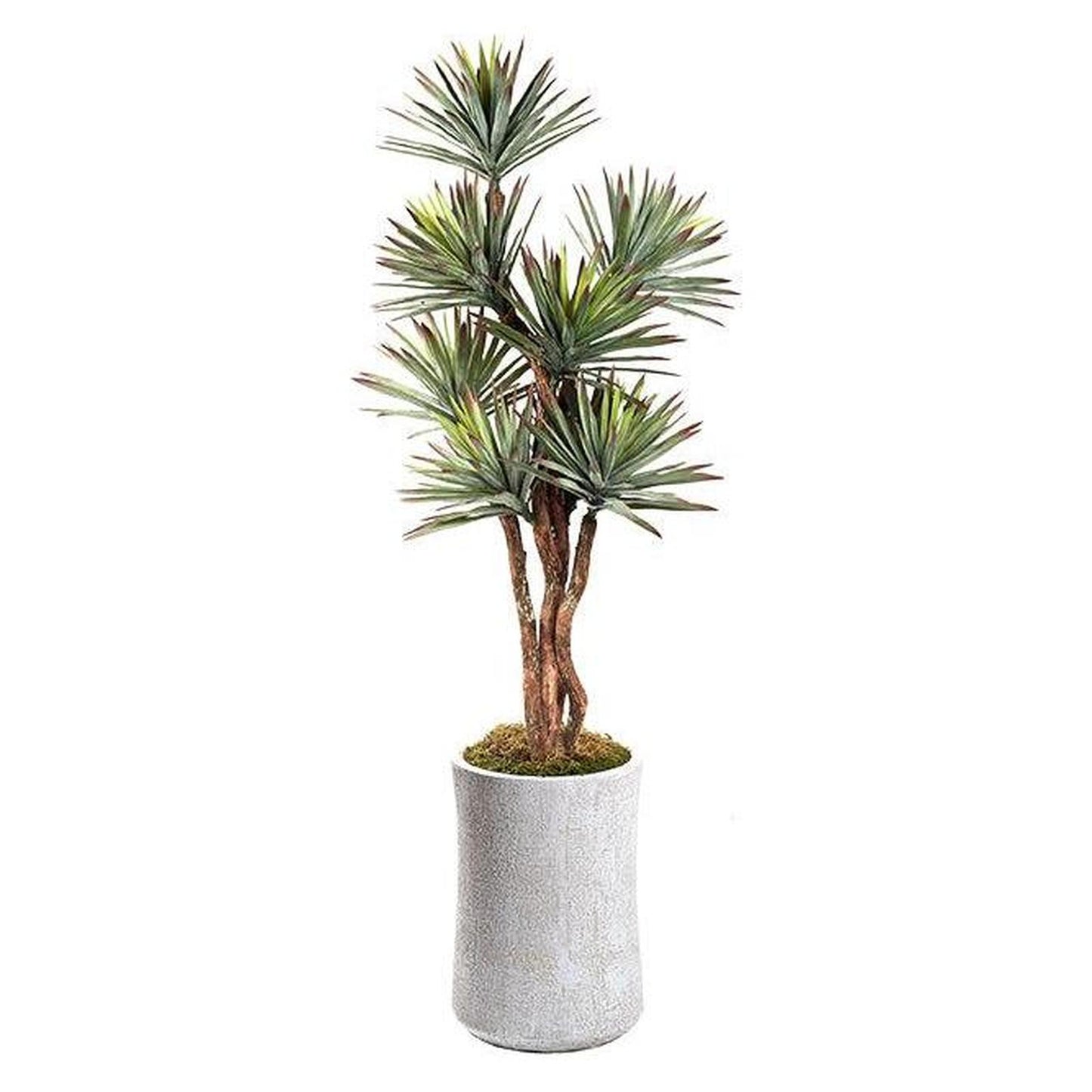 Artificial Agave Tree 8ft