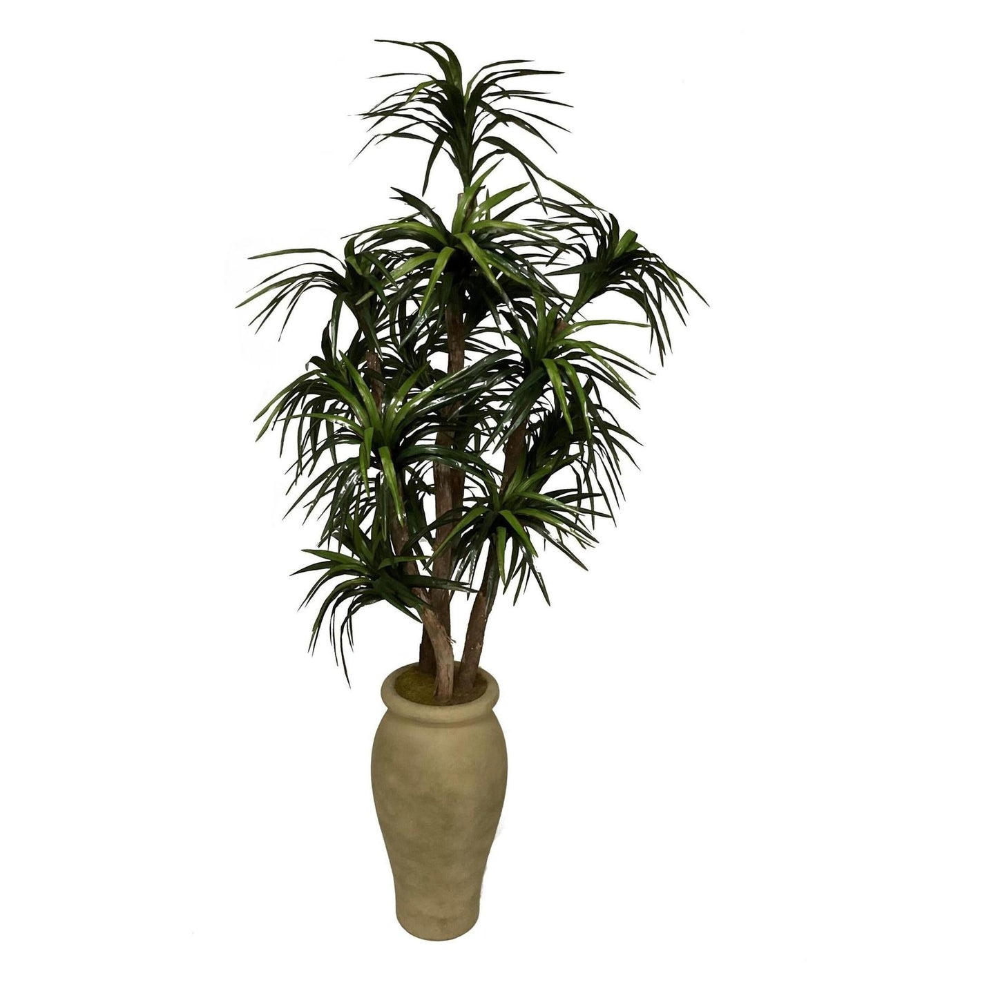 Artificial Dracaena Tree 8ft (Pack of 2)