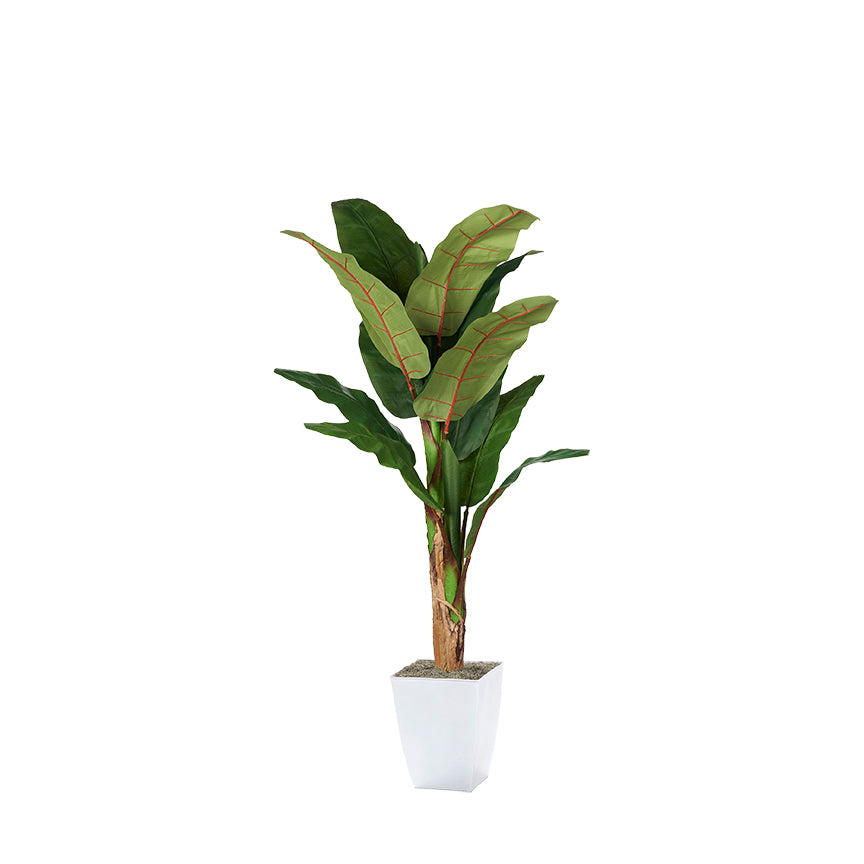 Artificial Banana Tree 7ft (Pack of 3)